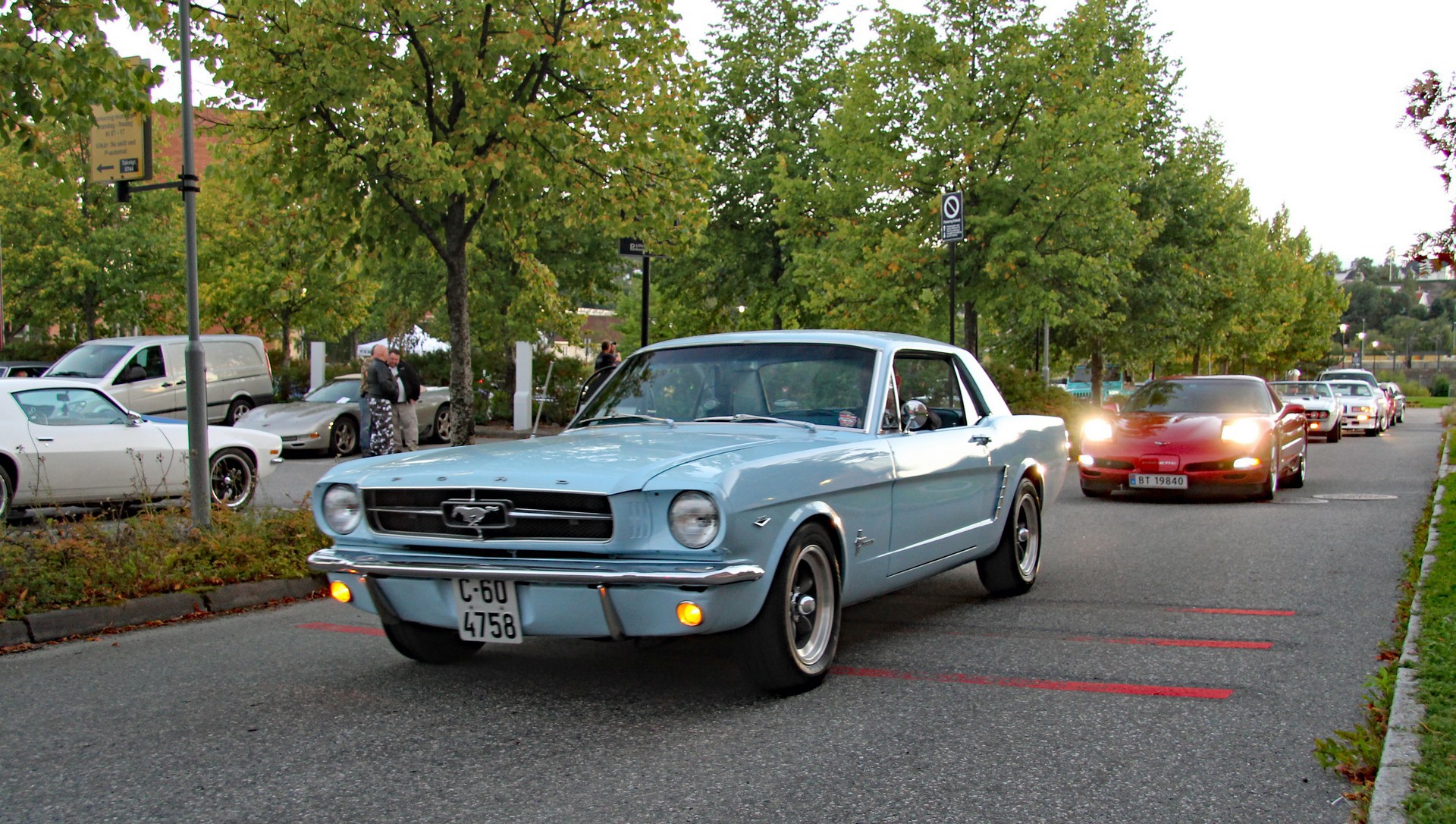 IMG_1163.jpg