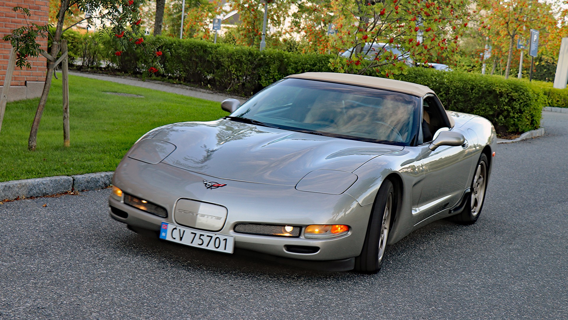Night Cruise 2017, 037.jpg