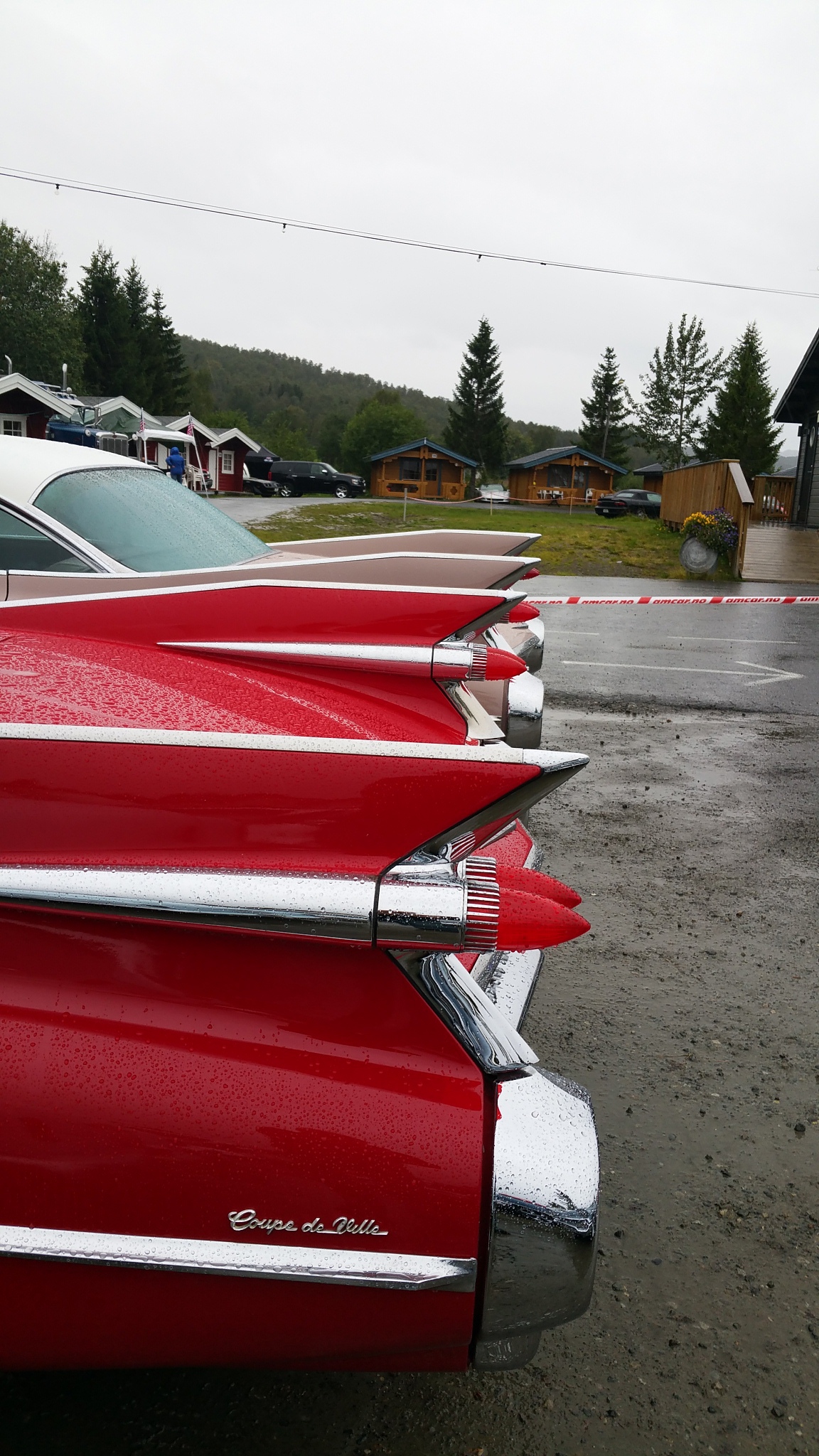 20180825_142244.jpg