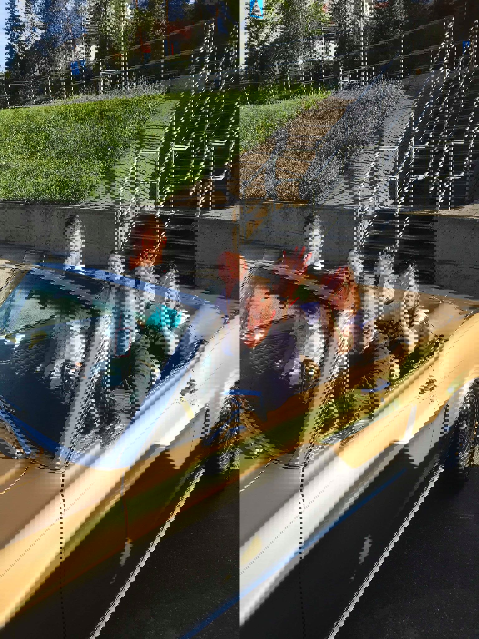 64445321_696608930762128_6405668560609214464_n.jpg