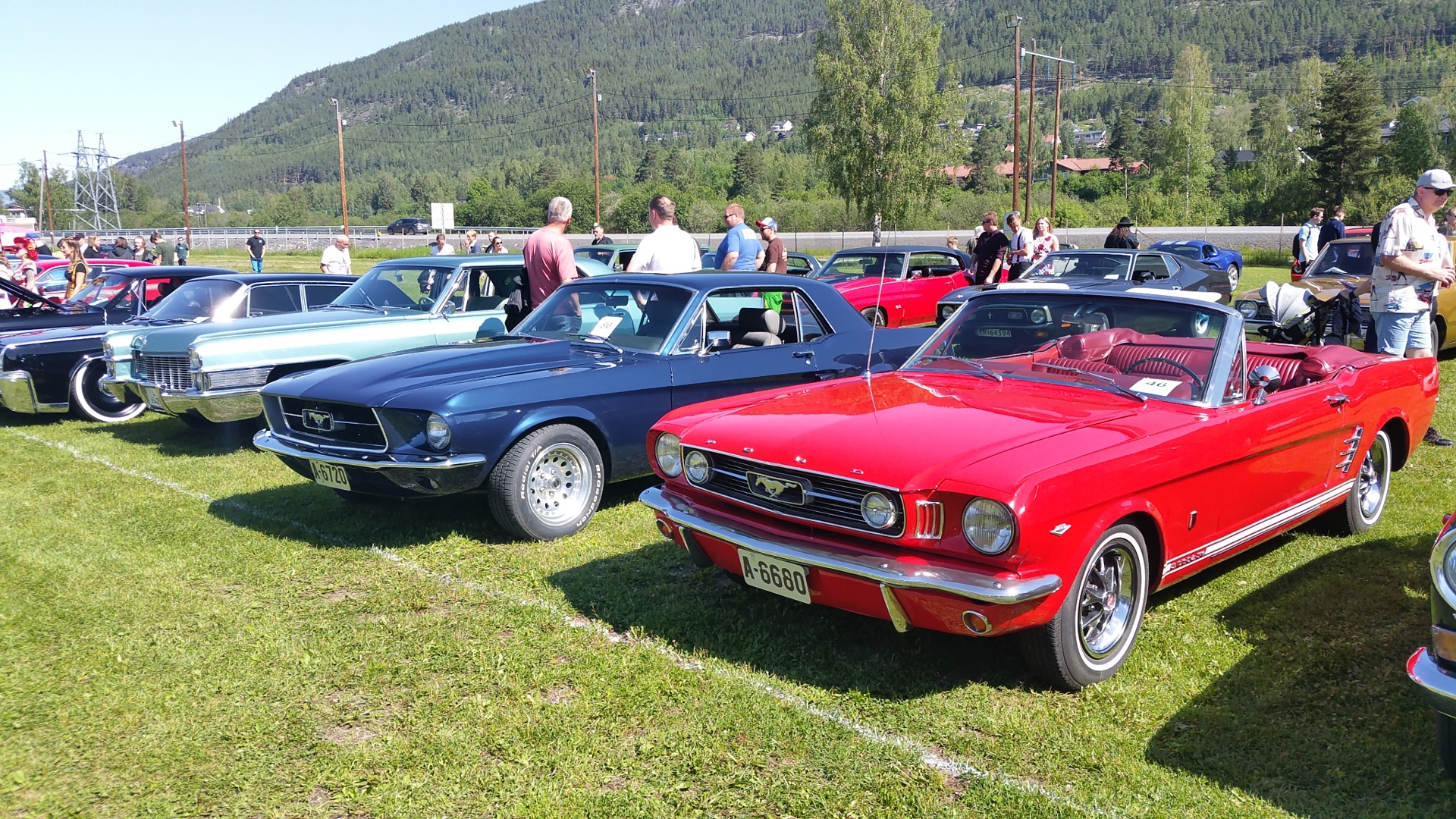 20190615_112646.jpg