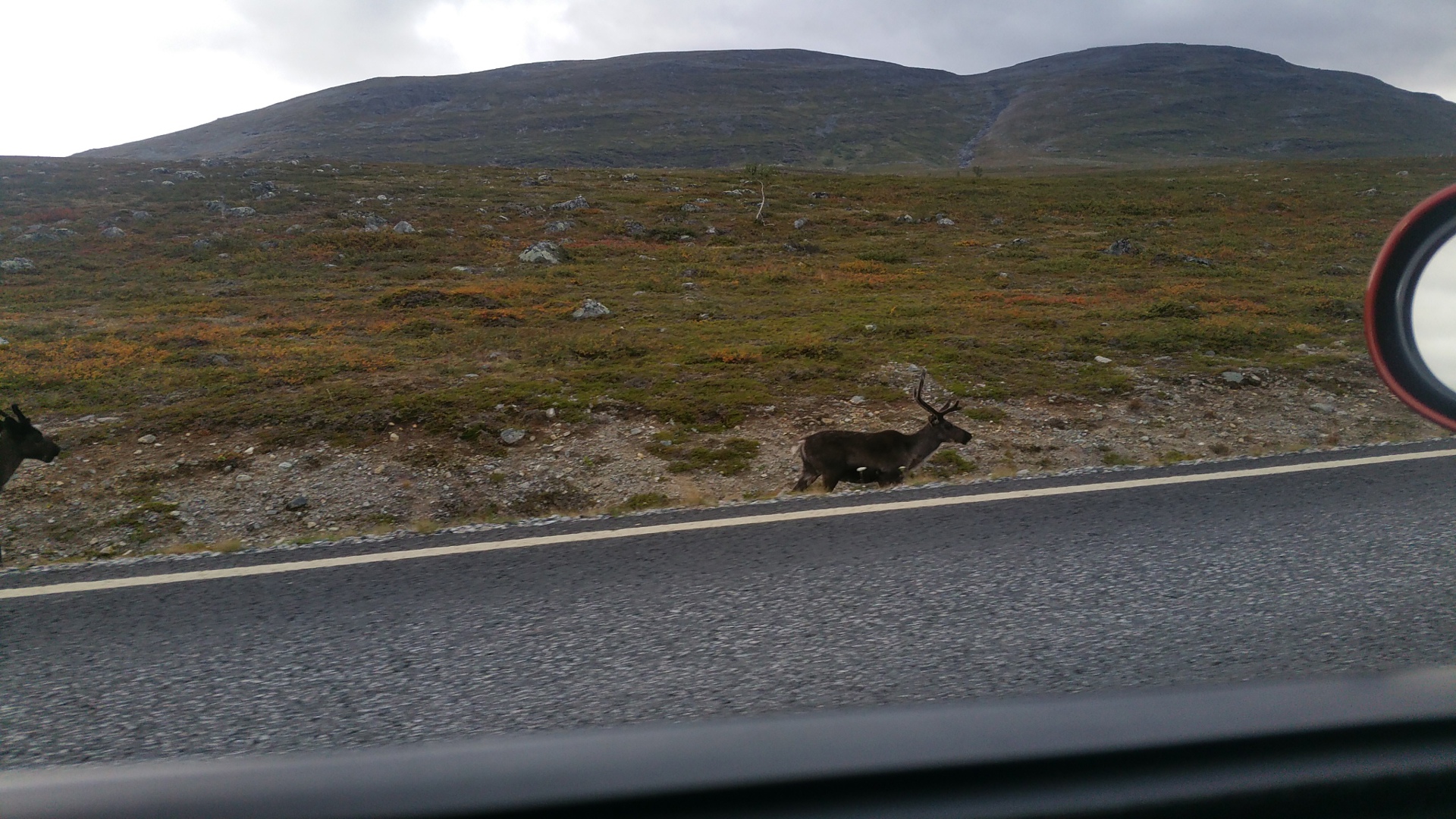 Tromsø 2019, 123.jpg