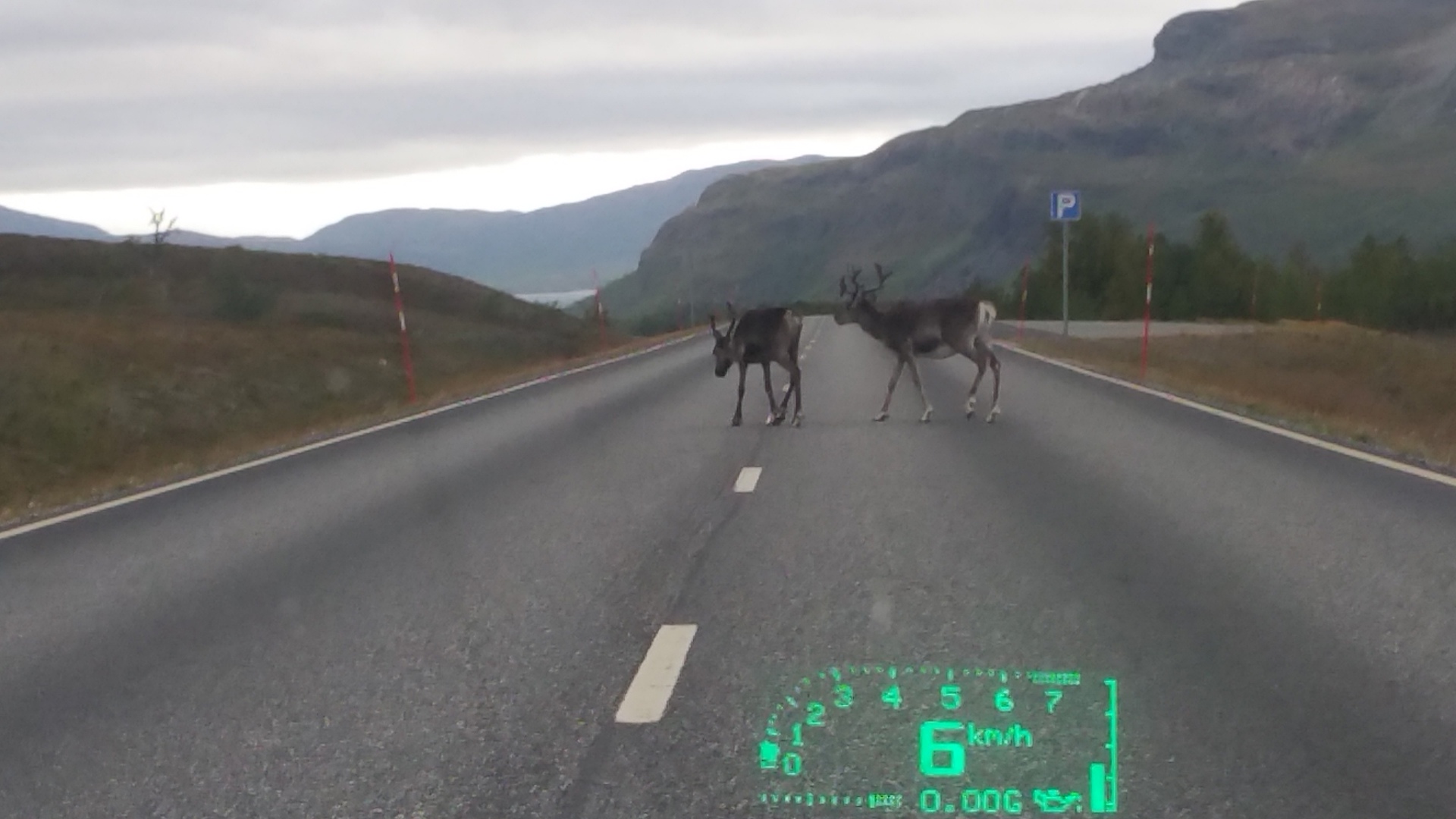 Tromsø 2019, 124.jpg