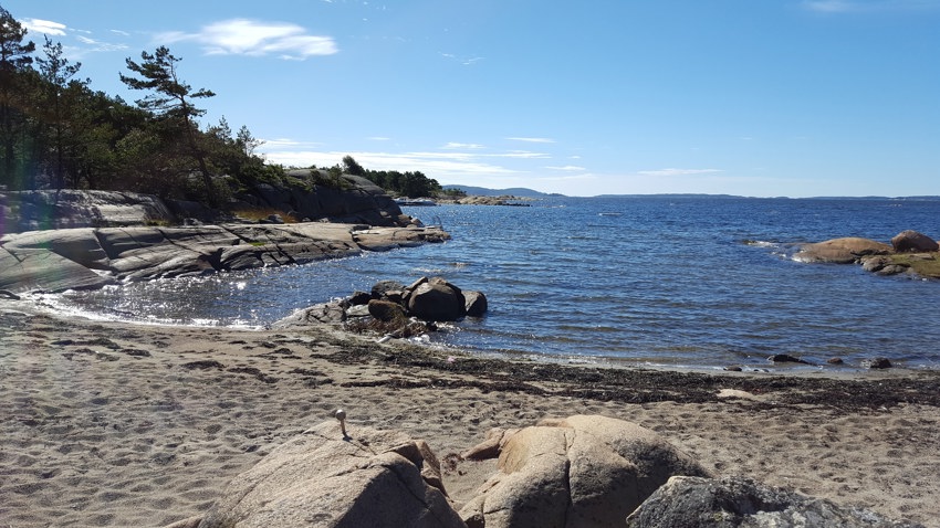 Årsmøte 23. juli 2022