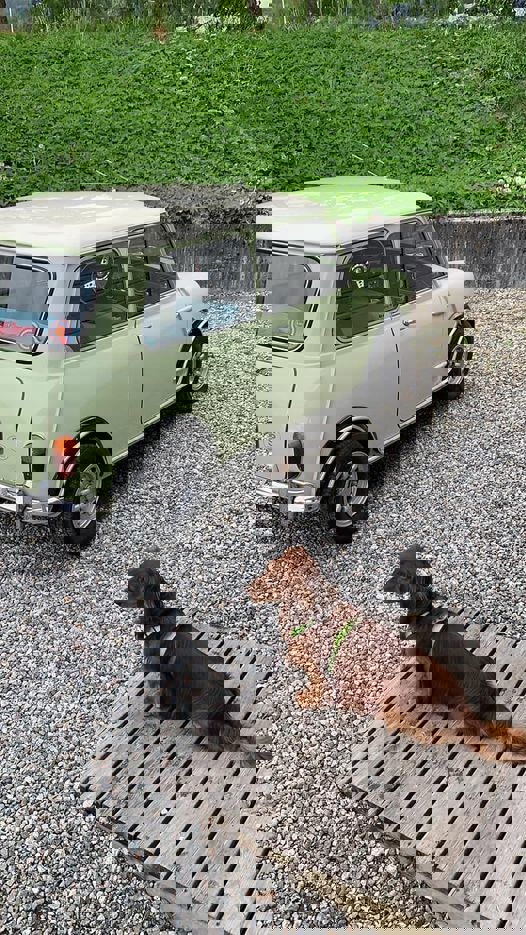 198321100_10159587557084310_1026267885110110895_n.
