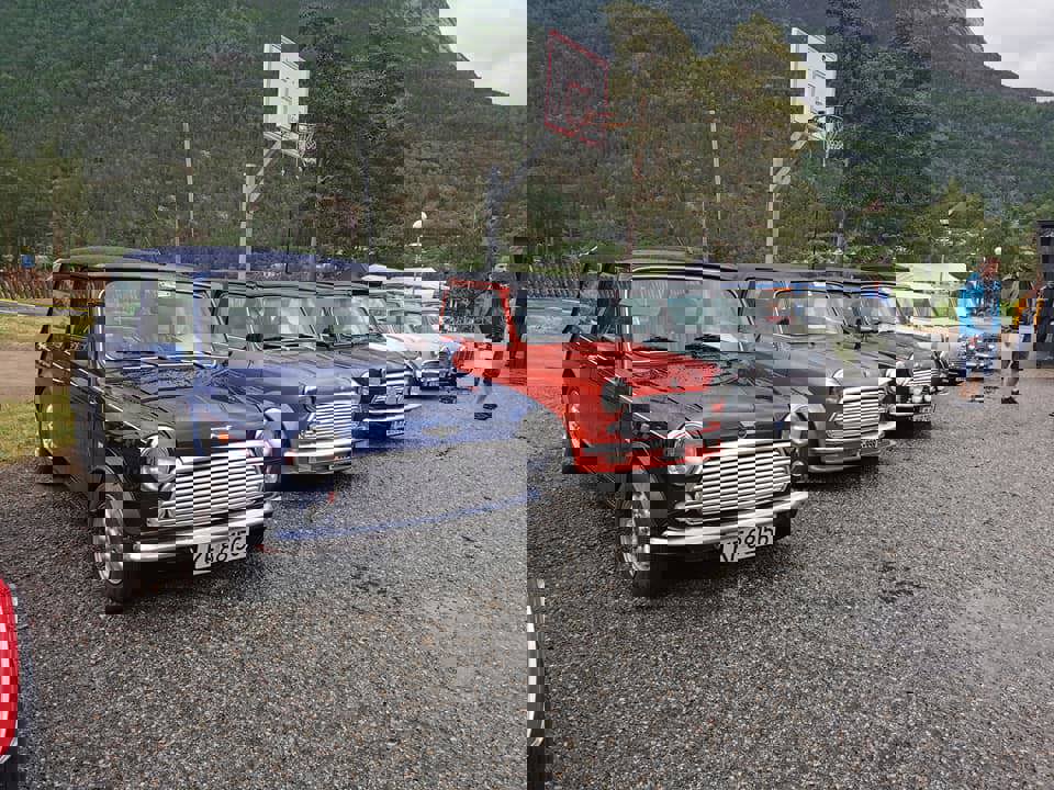199365338_10159032094200250_4196710909909980798_n.