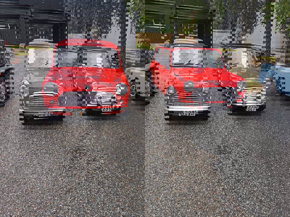 199678858_10159032095820250_8138058175473538621_n.