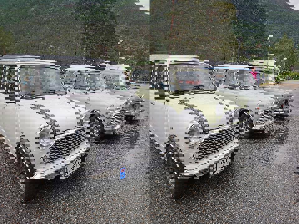 199937892_10159032094415250_3515620435855833089_n.