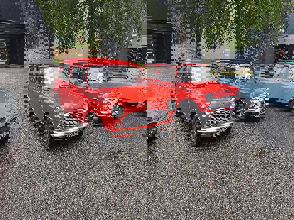 200104044_10159032095500250_3223609397199250547_n.
