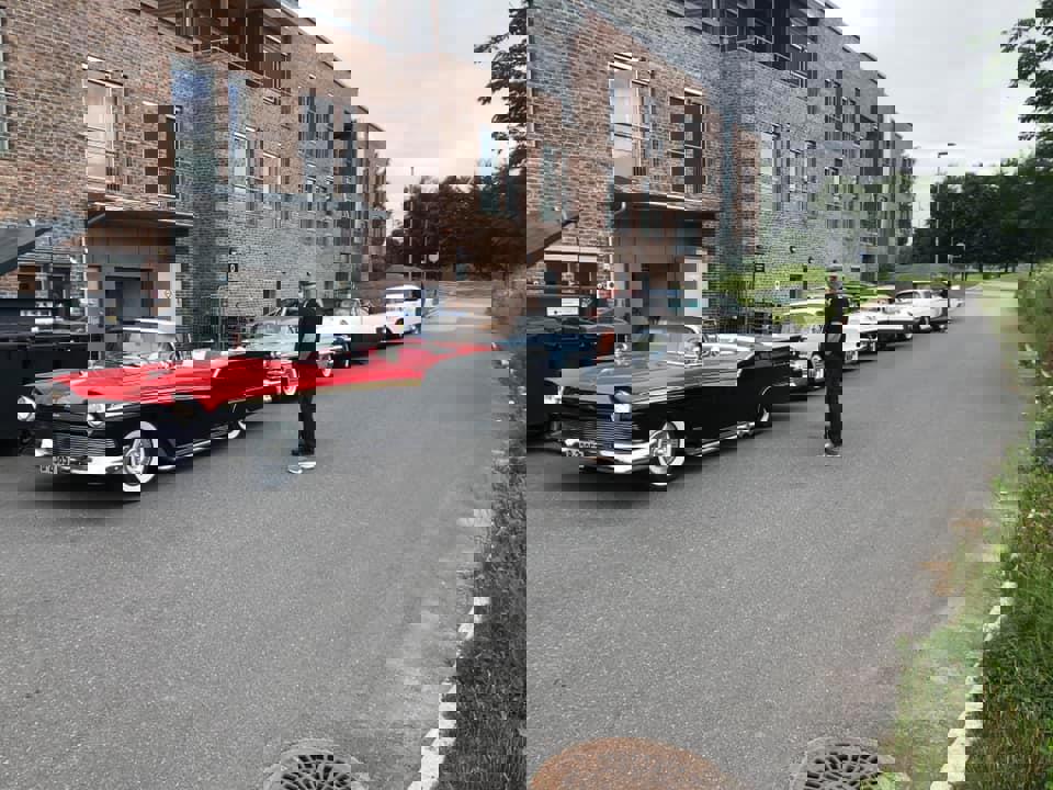 Elvis 1.jpg