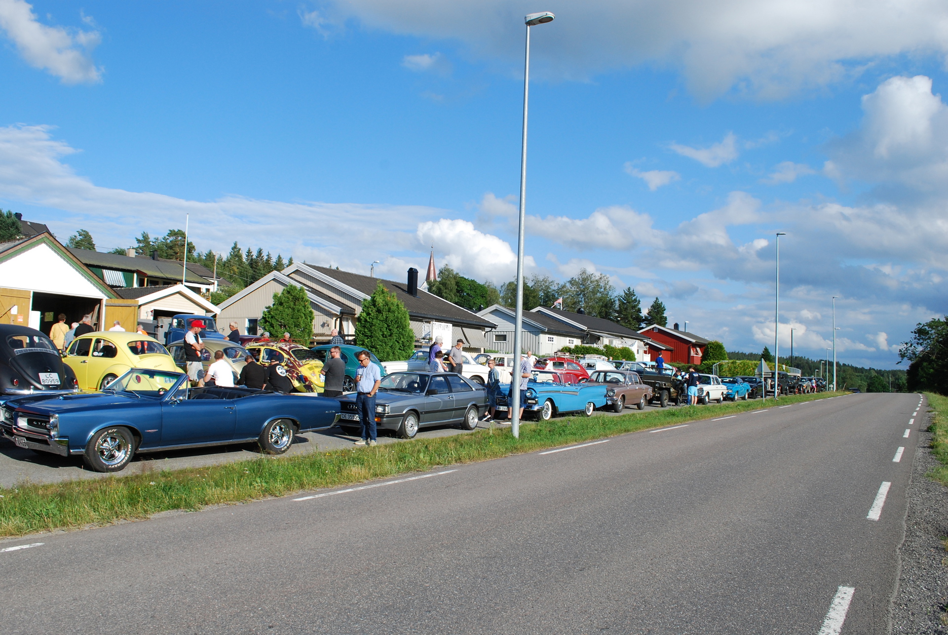 setskog20.JPG
