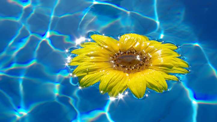Sommeravvikling i NMK