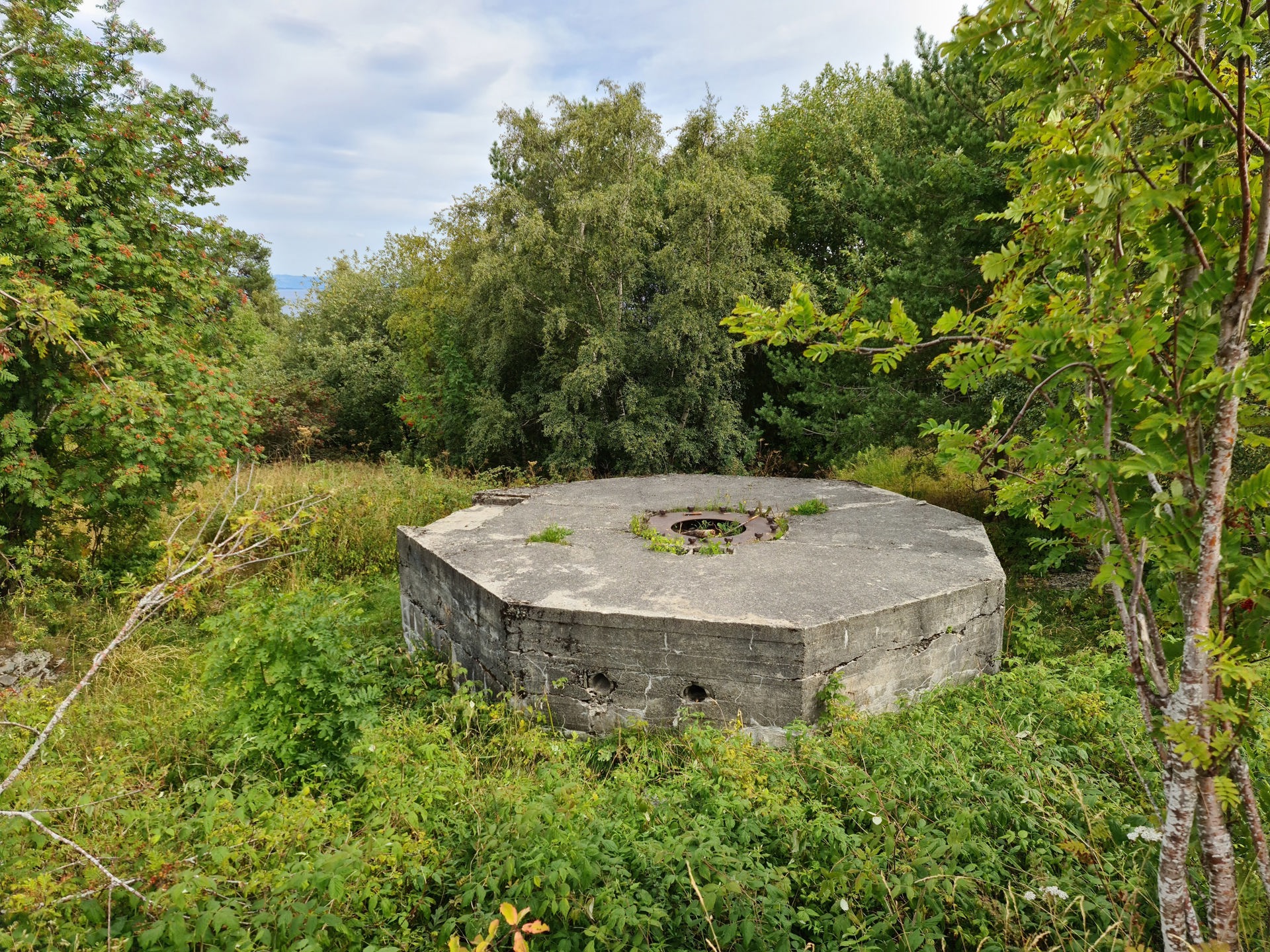 20210807_115618.jpg