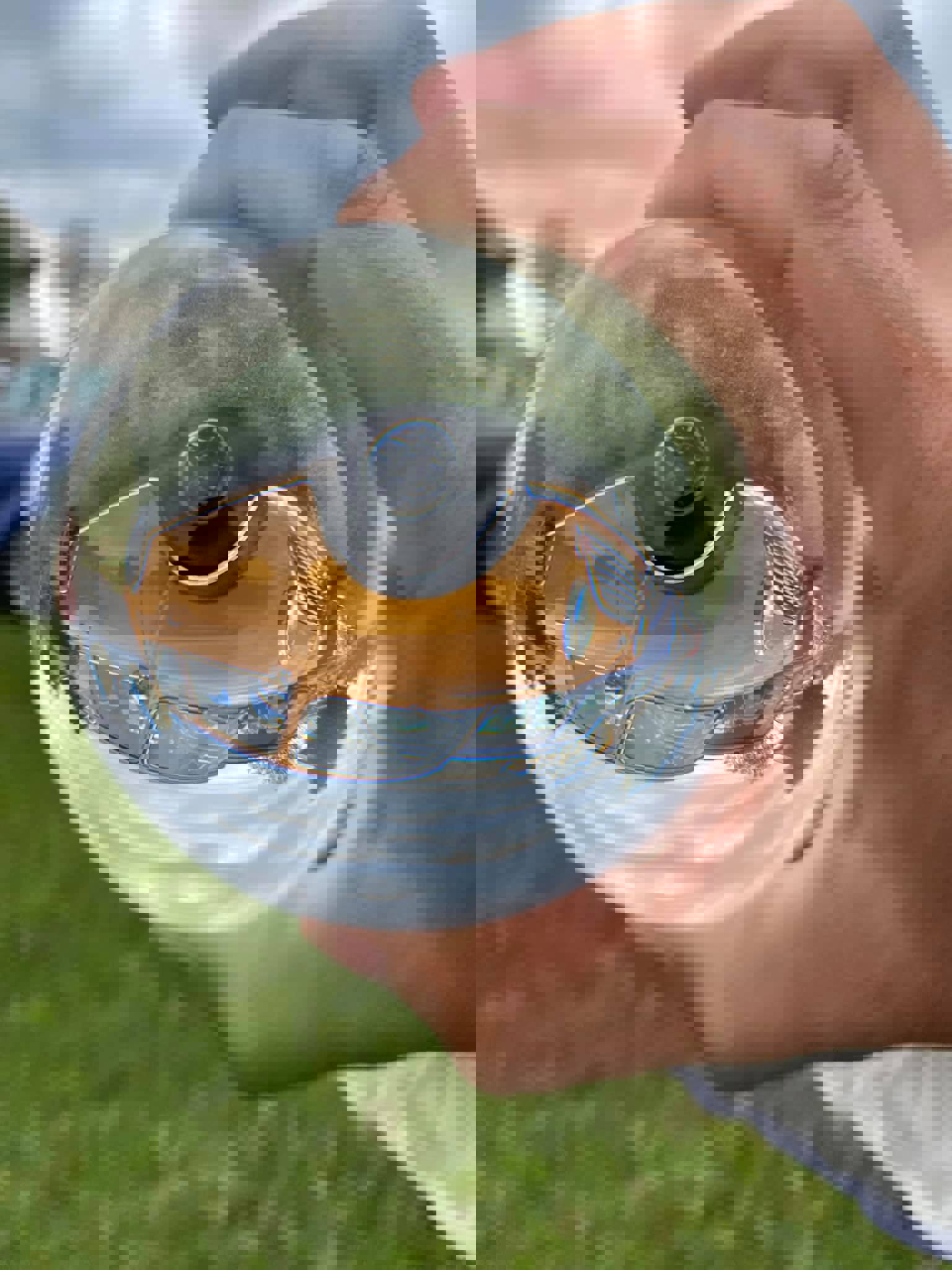 229581927_4915292121819985_8113656554472246791_n.j