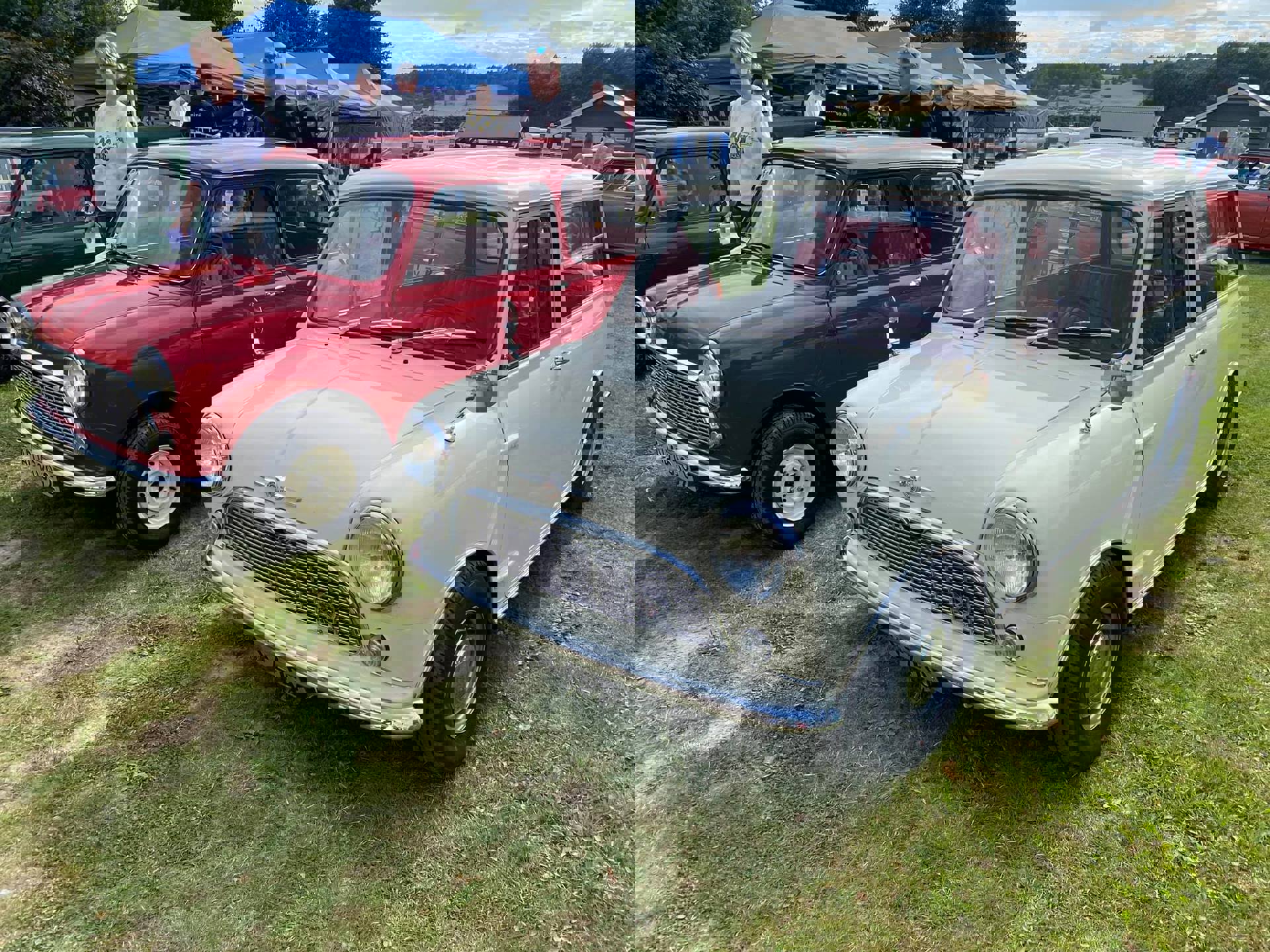 231833201_4915289968486867_6419744037989267768_n.j