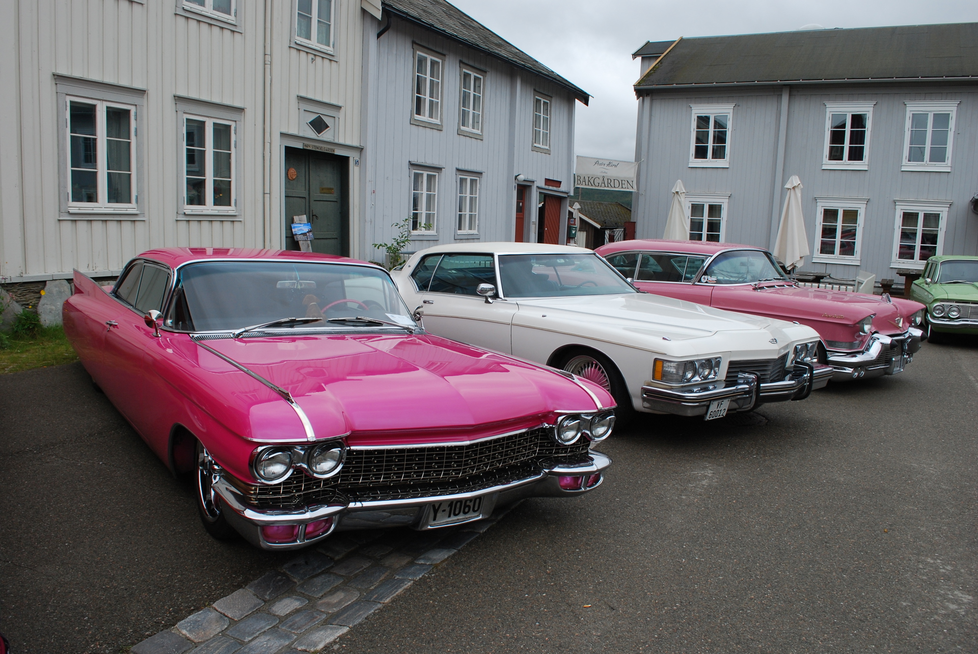 DSC_0311.JPG