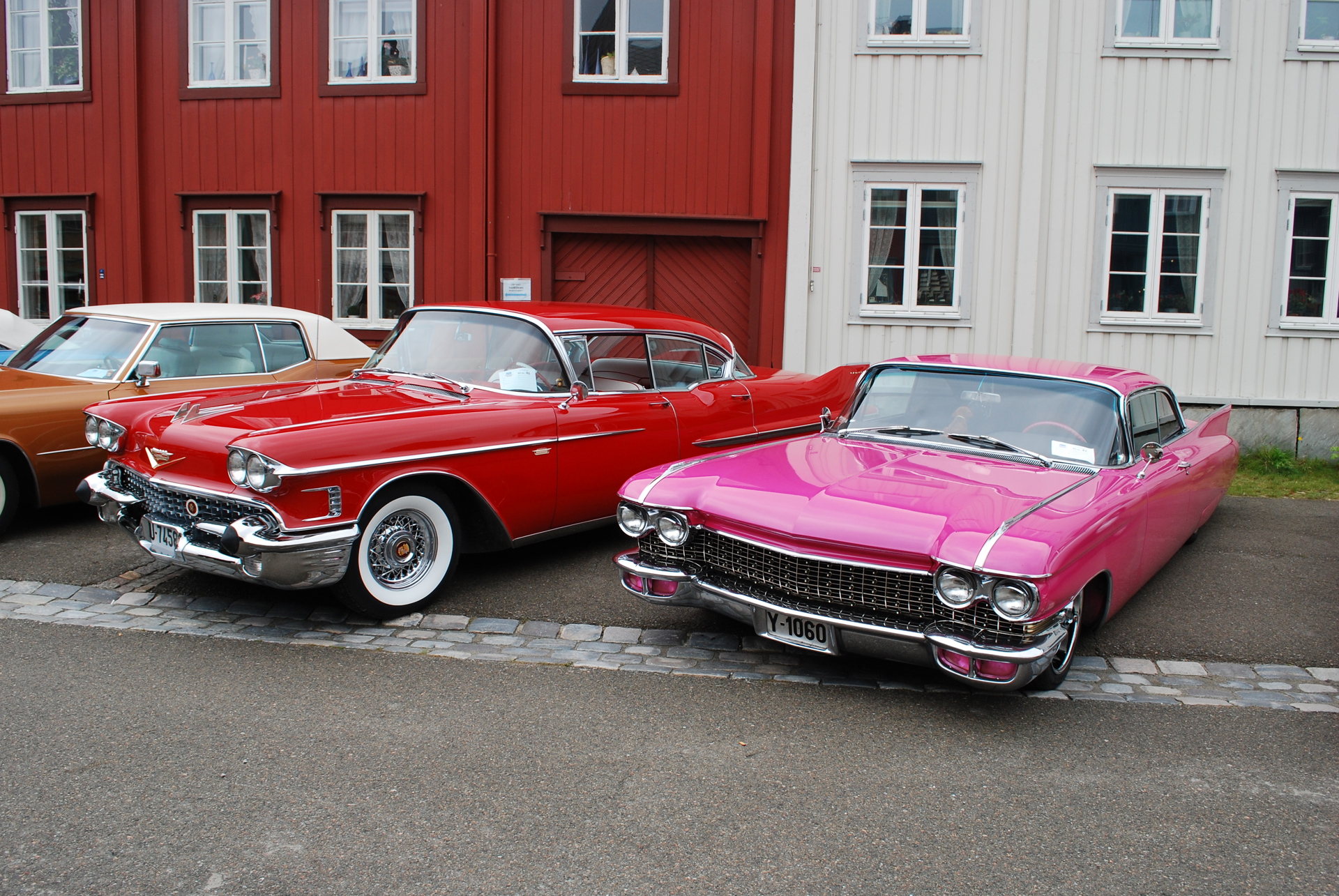 DSC_0312.JPG