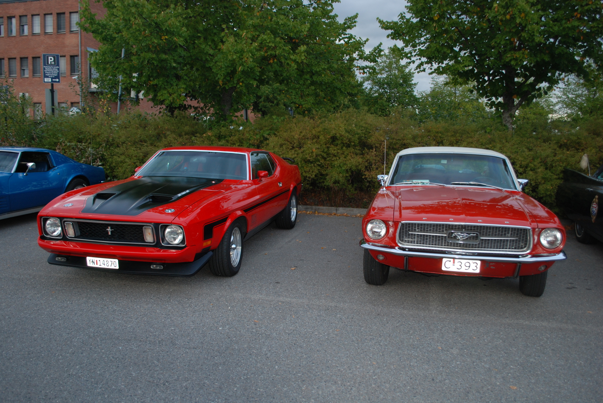 DSC_0727.JPG