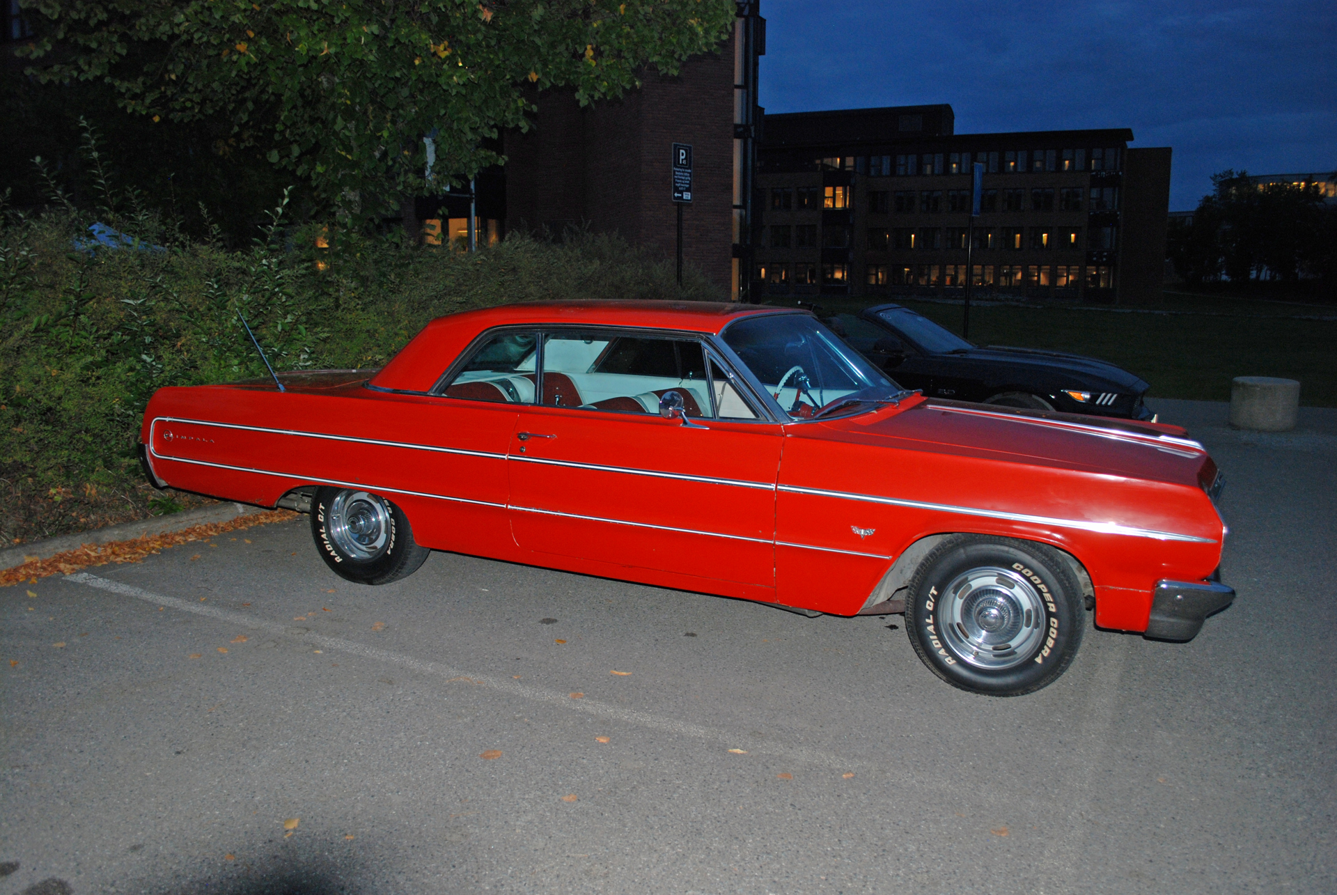 DSC_0776.JPG