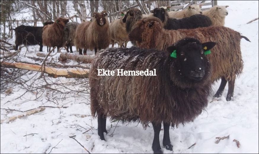 Ekte Hemsedal