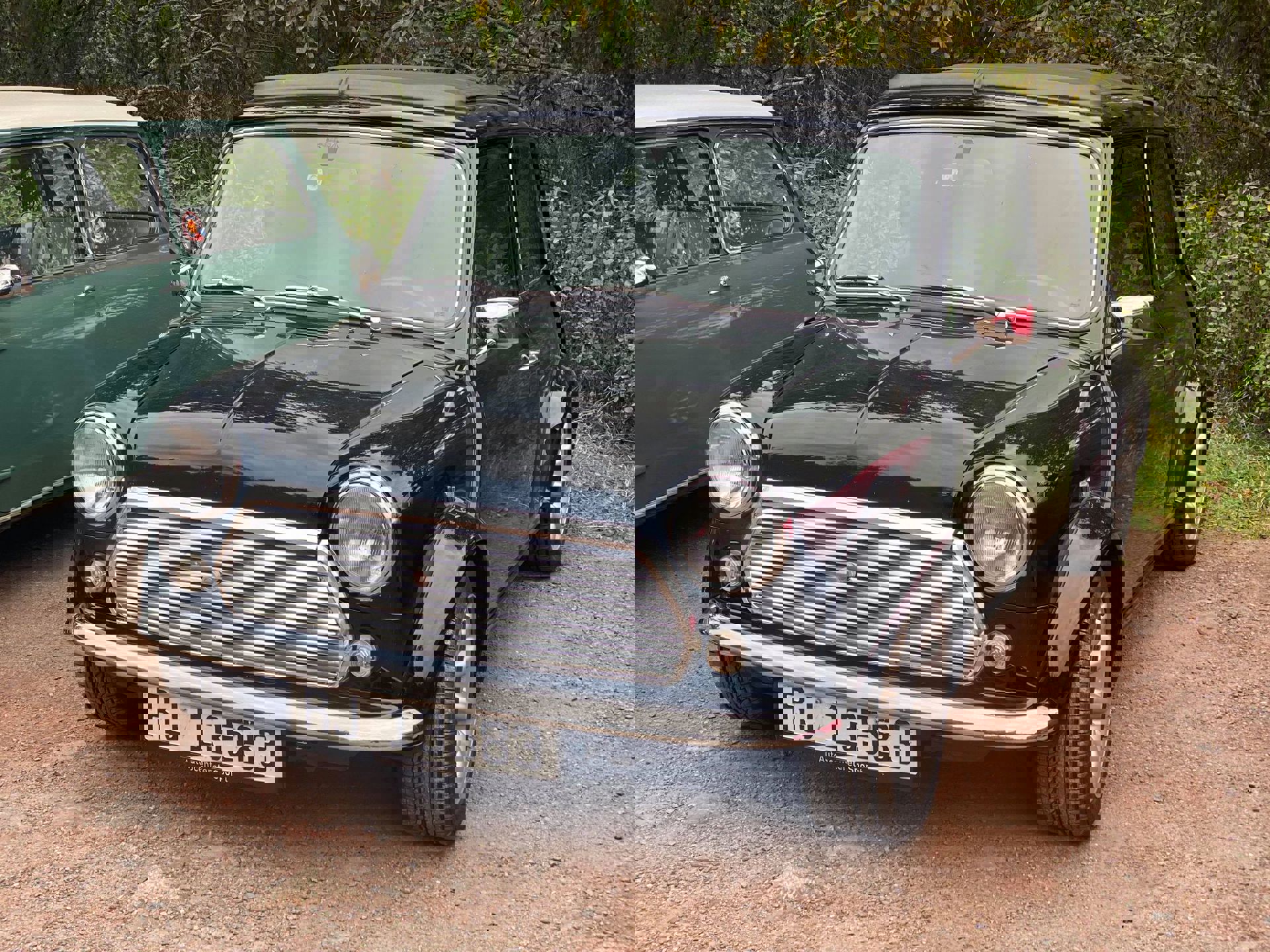 242182106_868568377127739_6308214946909001762_n.jp
