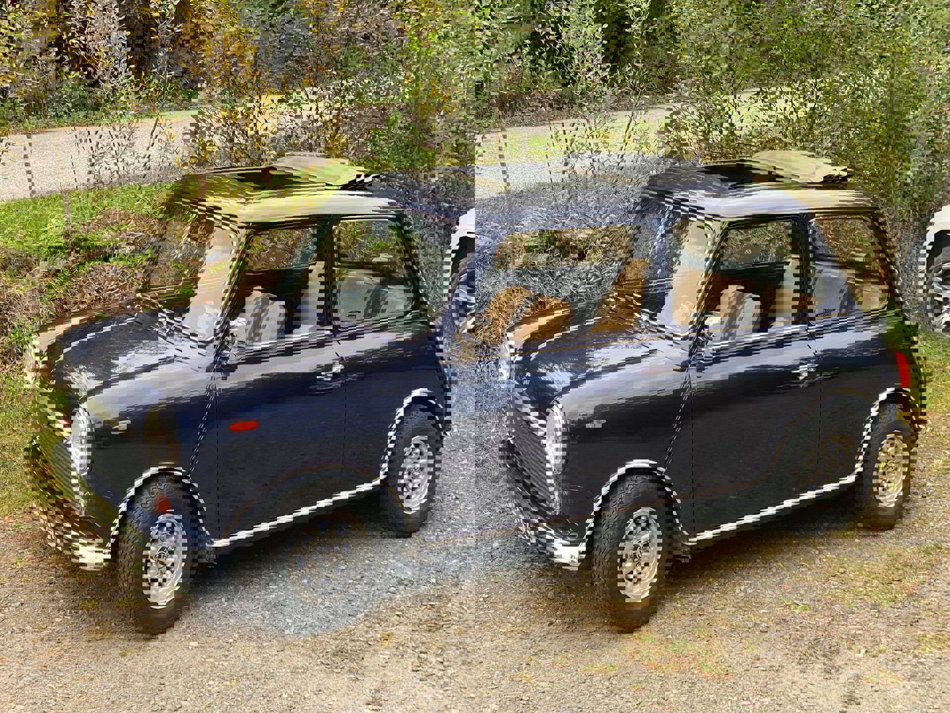 242189440_1635917706603525_8398551660398493544_n.j