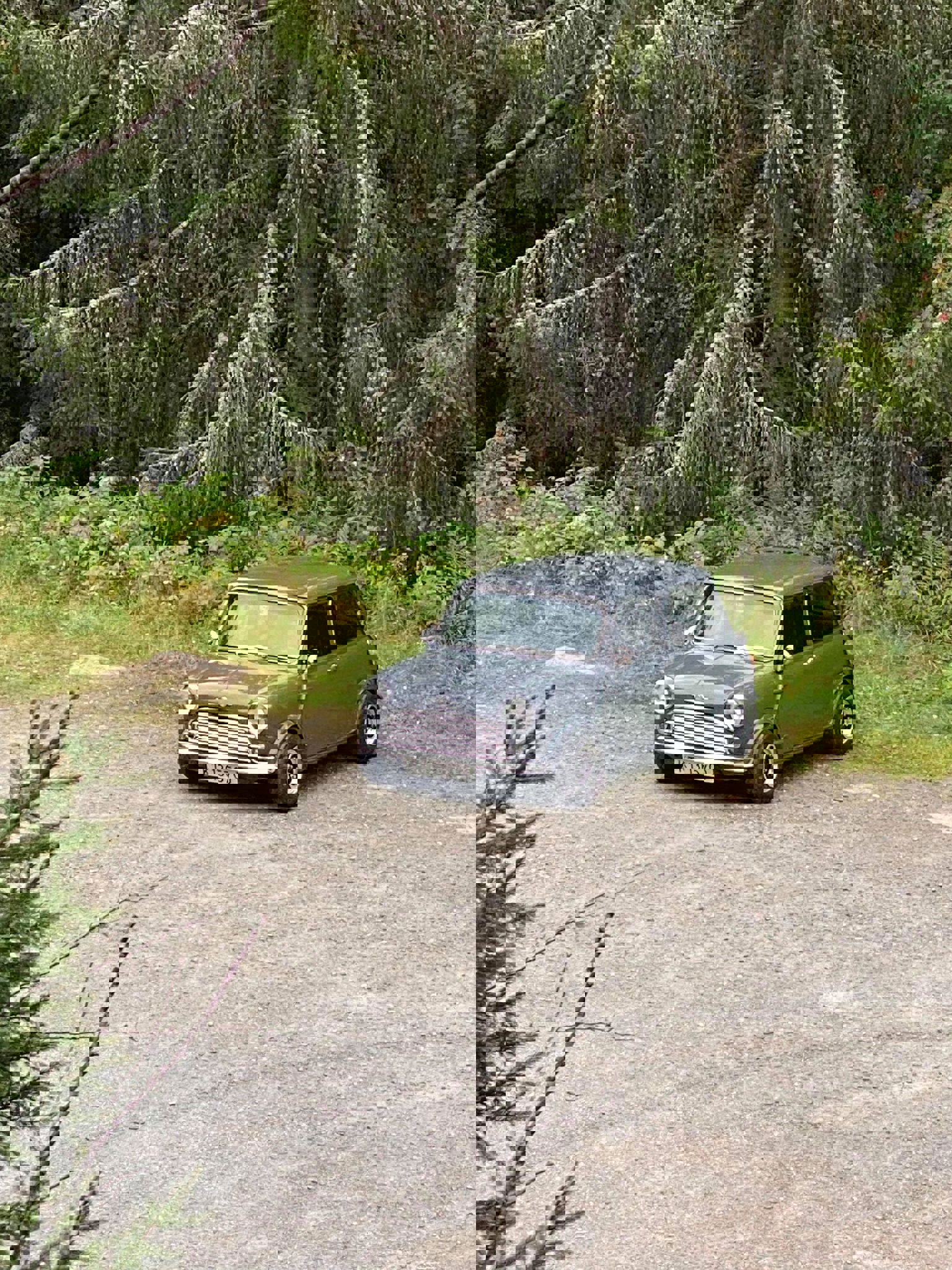 242195729_600976654421340_8072223878260732992_n.jp