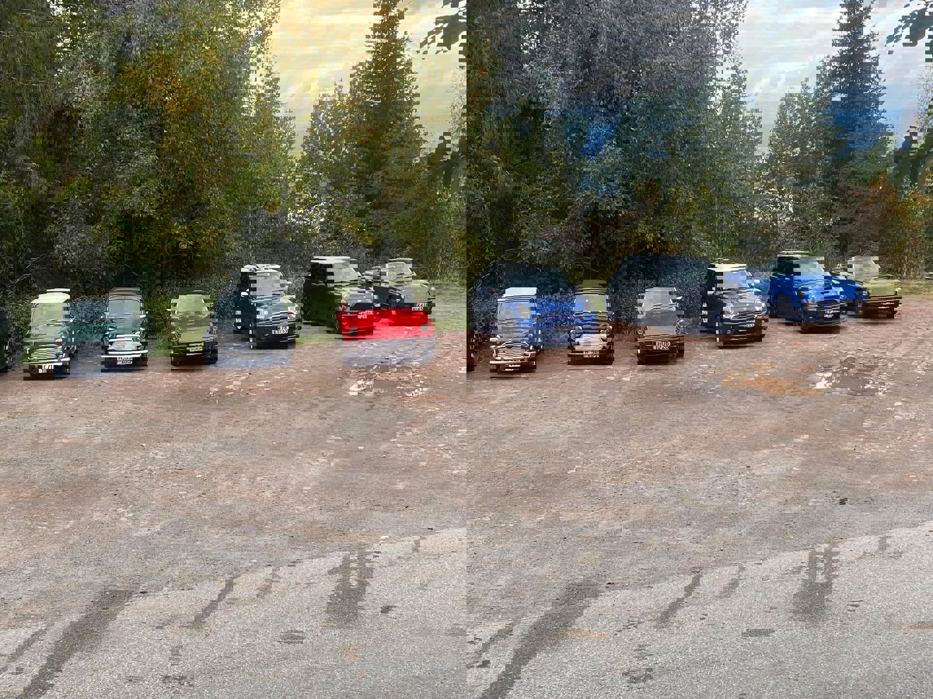 242216128_683985222565823_4893063729725964968_n.jp