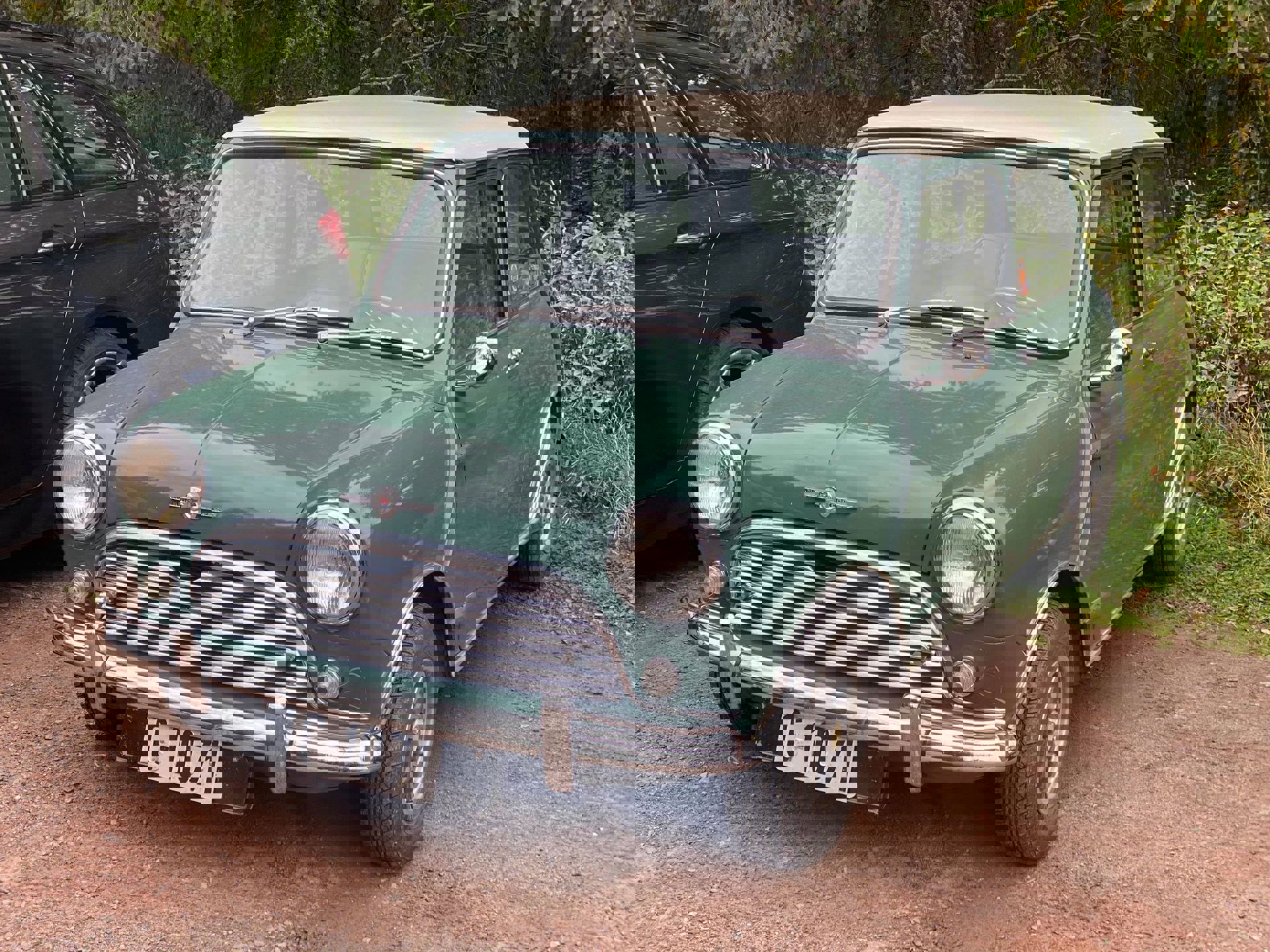 242216136_1481559098873688_5494819226386176376_n.j