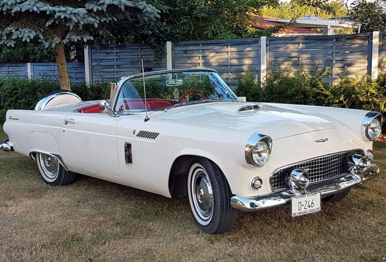 350-1956 Ford Thunderbird 01. Eiere- medlem 350 Ju