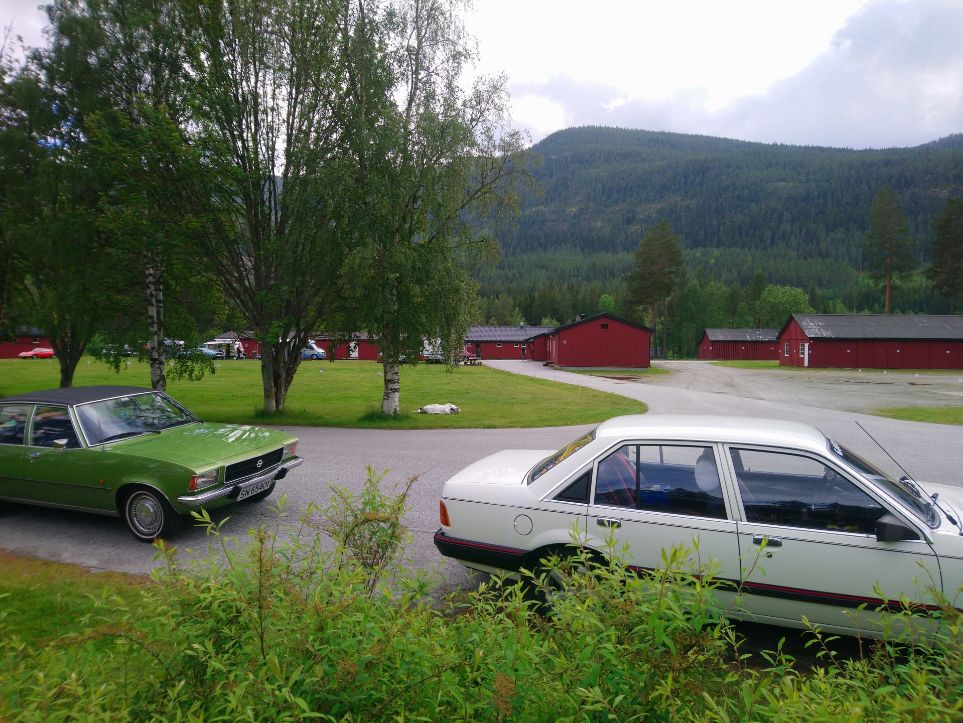 DSC_0026.JPG