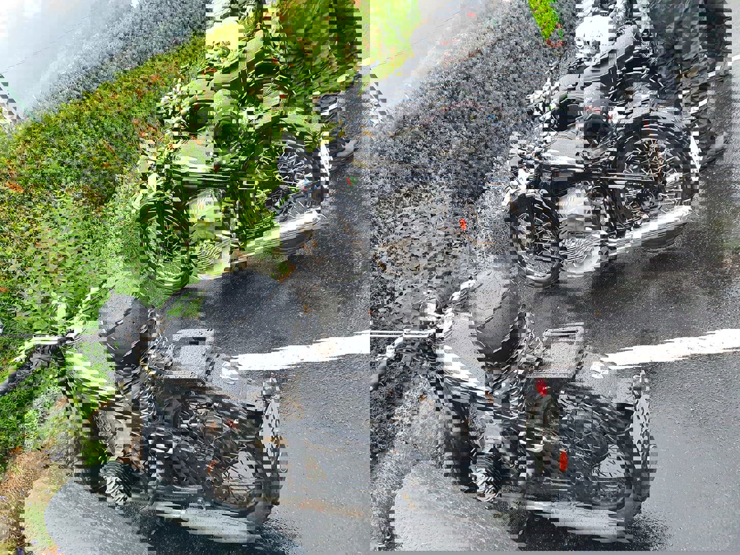 Skogsløpet 20.jpg