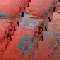 180187_188332841199645_3865488_n.jpg
