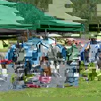 183860_188331801199749_8314469_n.jpg