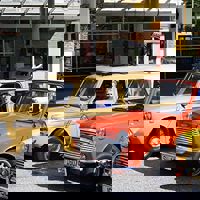 180194_188325334533729_2646214_n.jpg