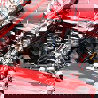 180937_188327244533538_2822528_n.jpg