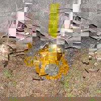 185878_188342391198690_3153893_n.jpg
