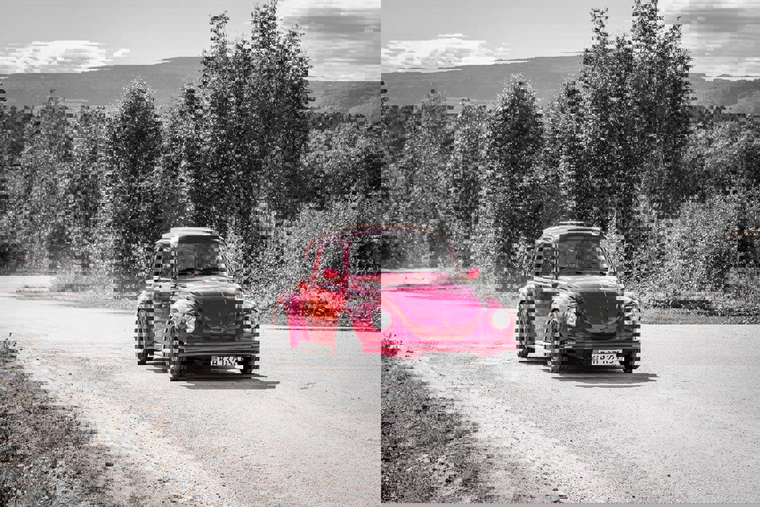 20690364_1992459054299356_7004967697286049530_o_19