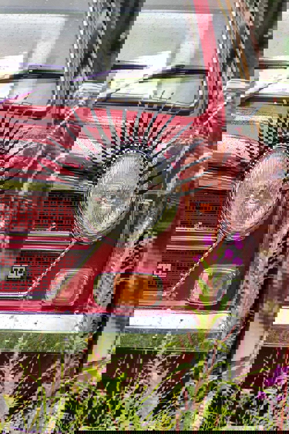 20729035_1992153344329927_7875447504602586221_o_19