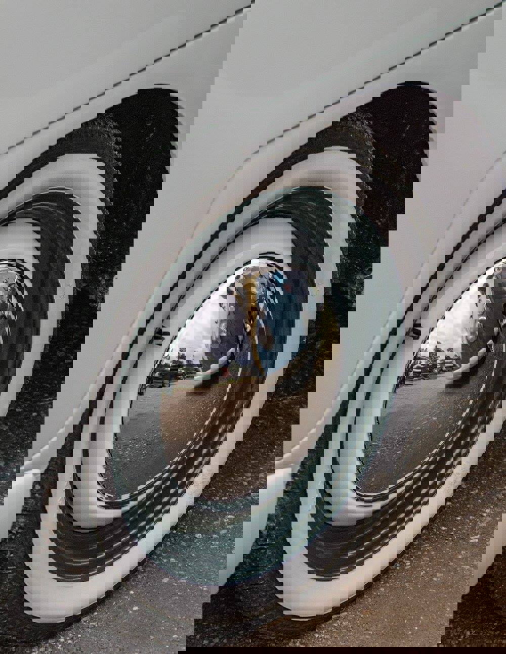 20746417_1992152677663327_5270347459519947644_o_19
