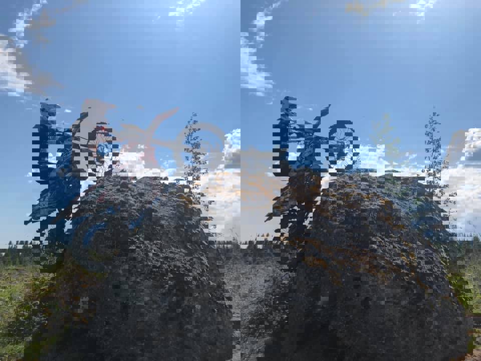 106223845_10158586557446944_3201892061860397081_n.
