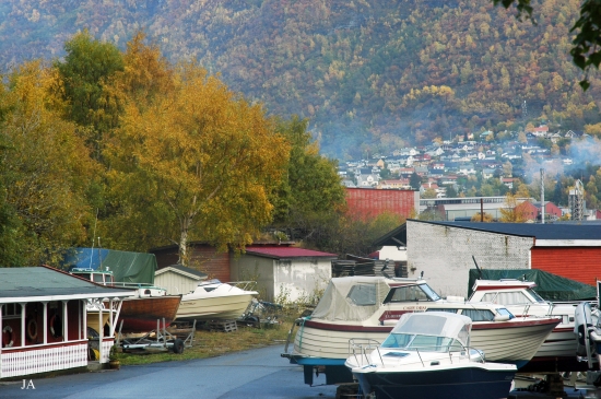 DSC_0140.JPG