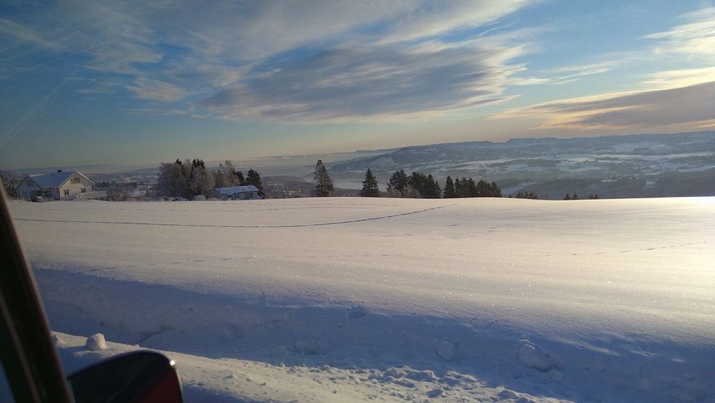 DSC_0336.JPG