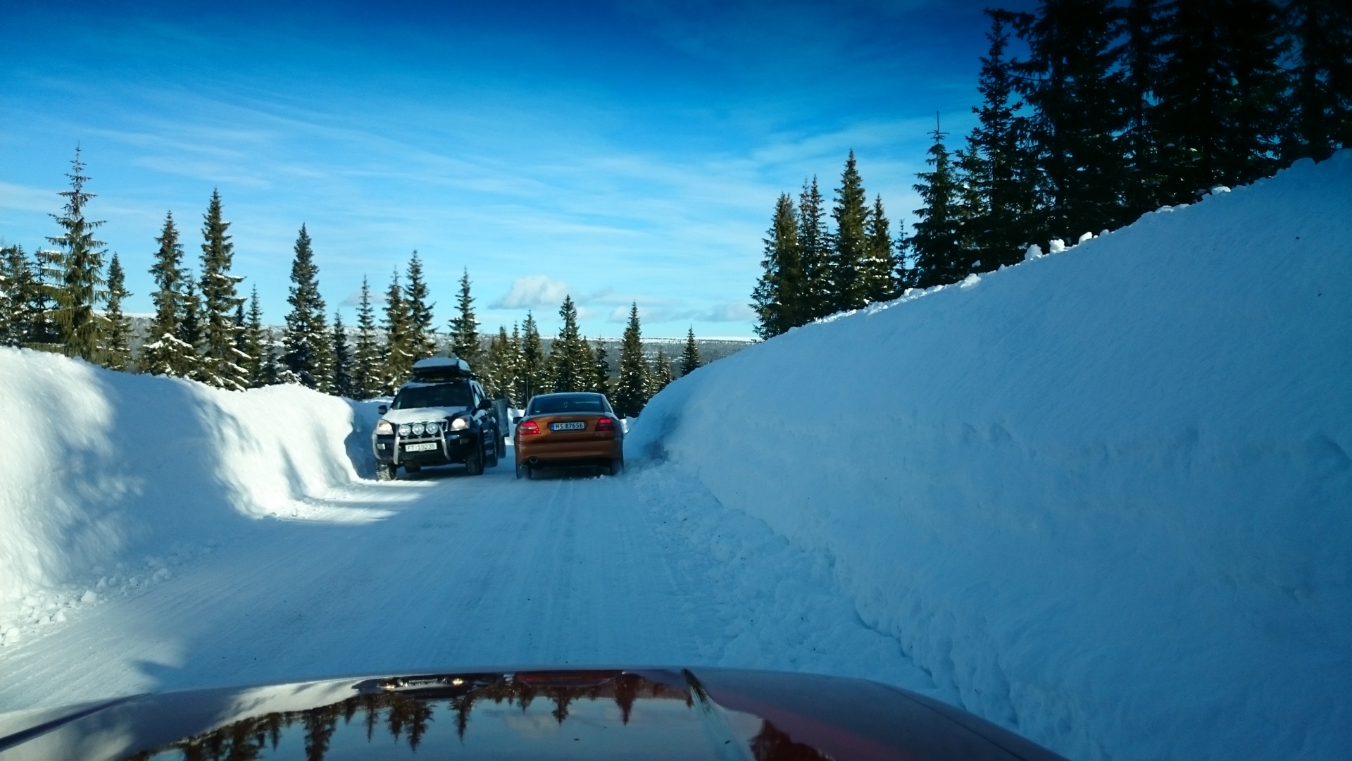 DSC_0036_7.JPG