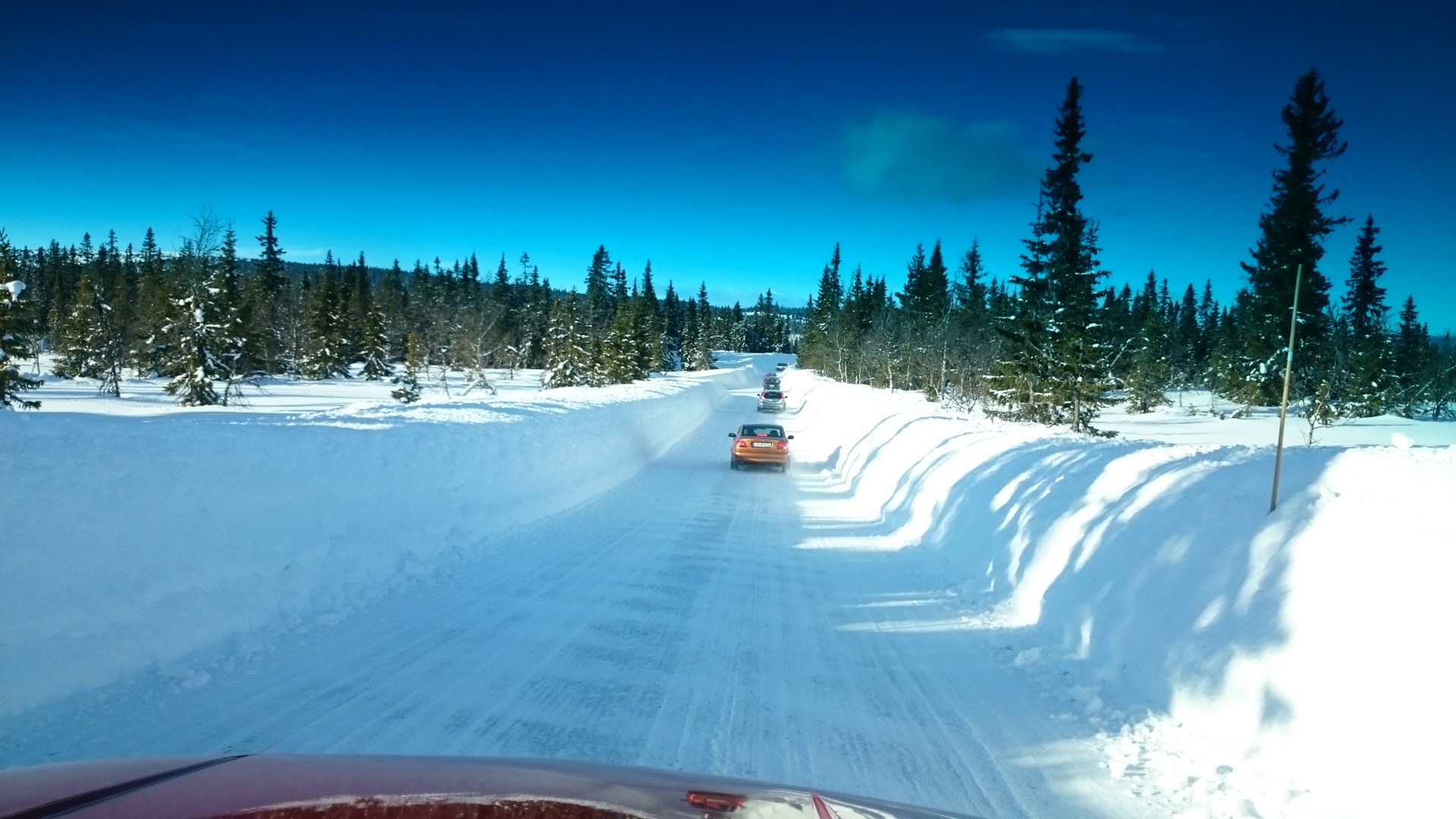 DSC_0035_7.JPG