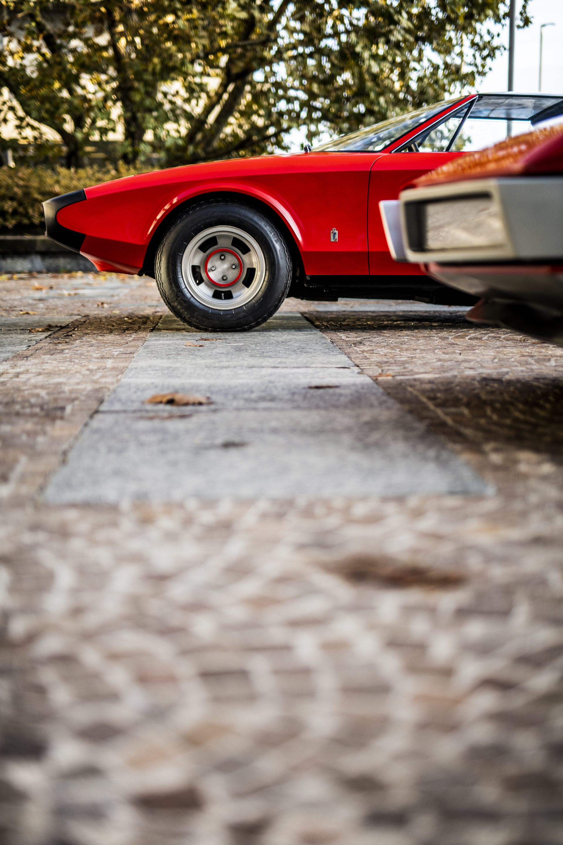 DSC_4009.jpg