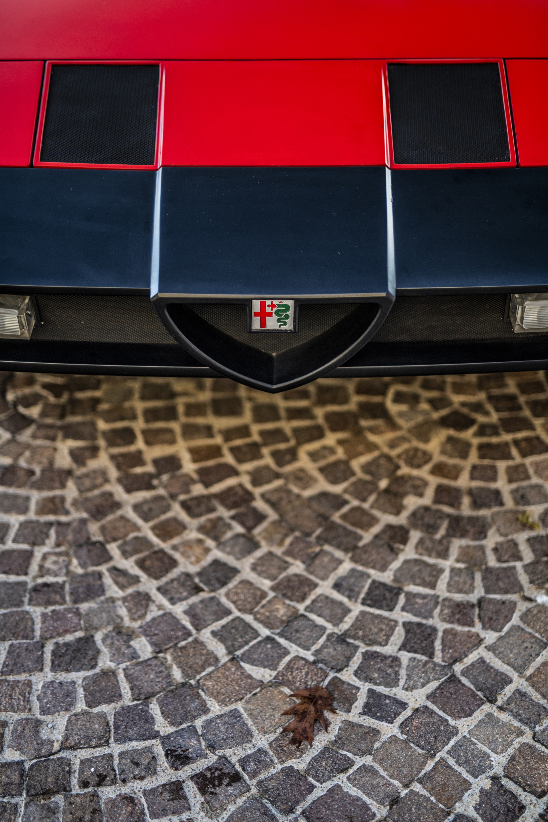 DSC_4078.jpg
