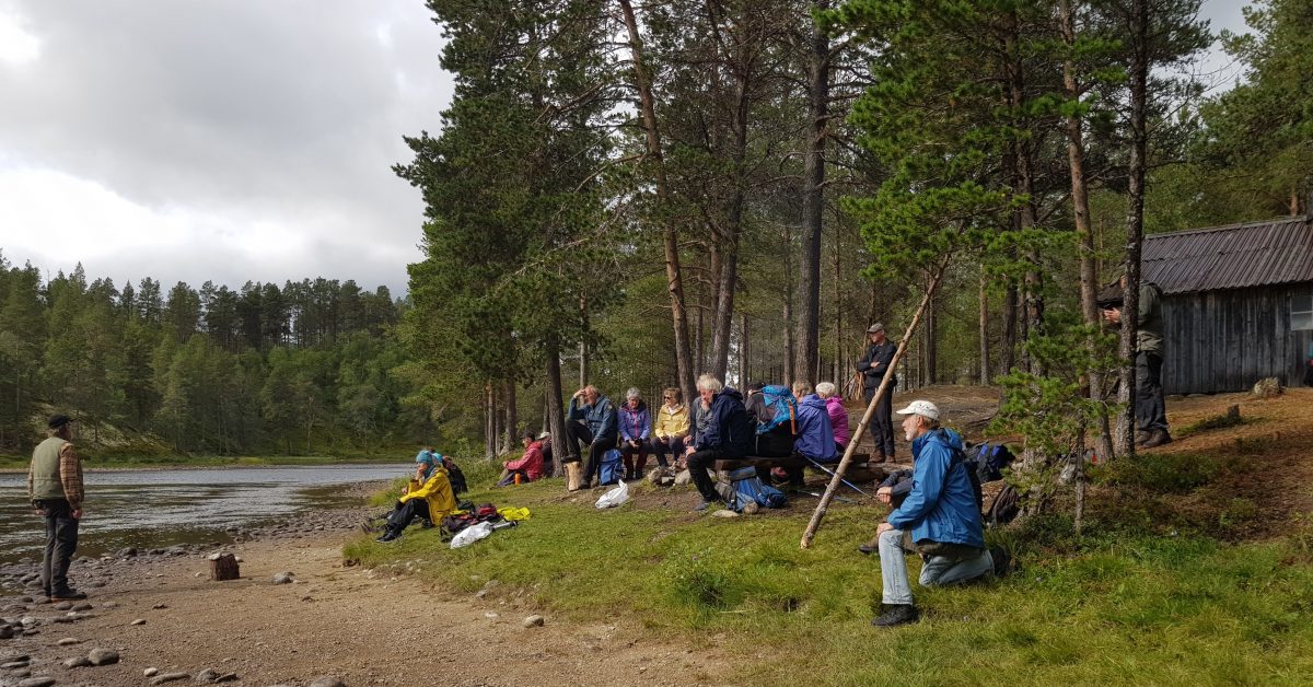 Vandring i Mølmannsdalen