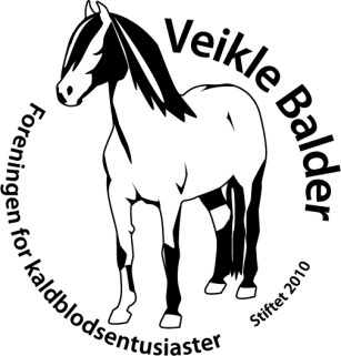 Veikle Balders Generalforsamling 2023