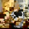 profilbilde